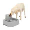 2 Gallon Fountain Y3639