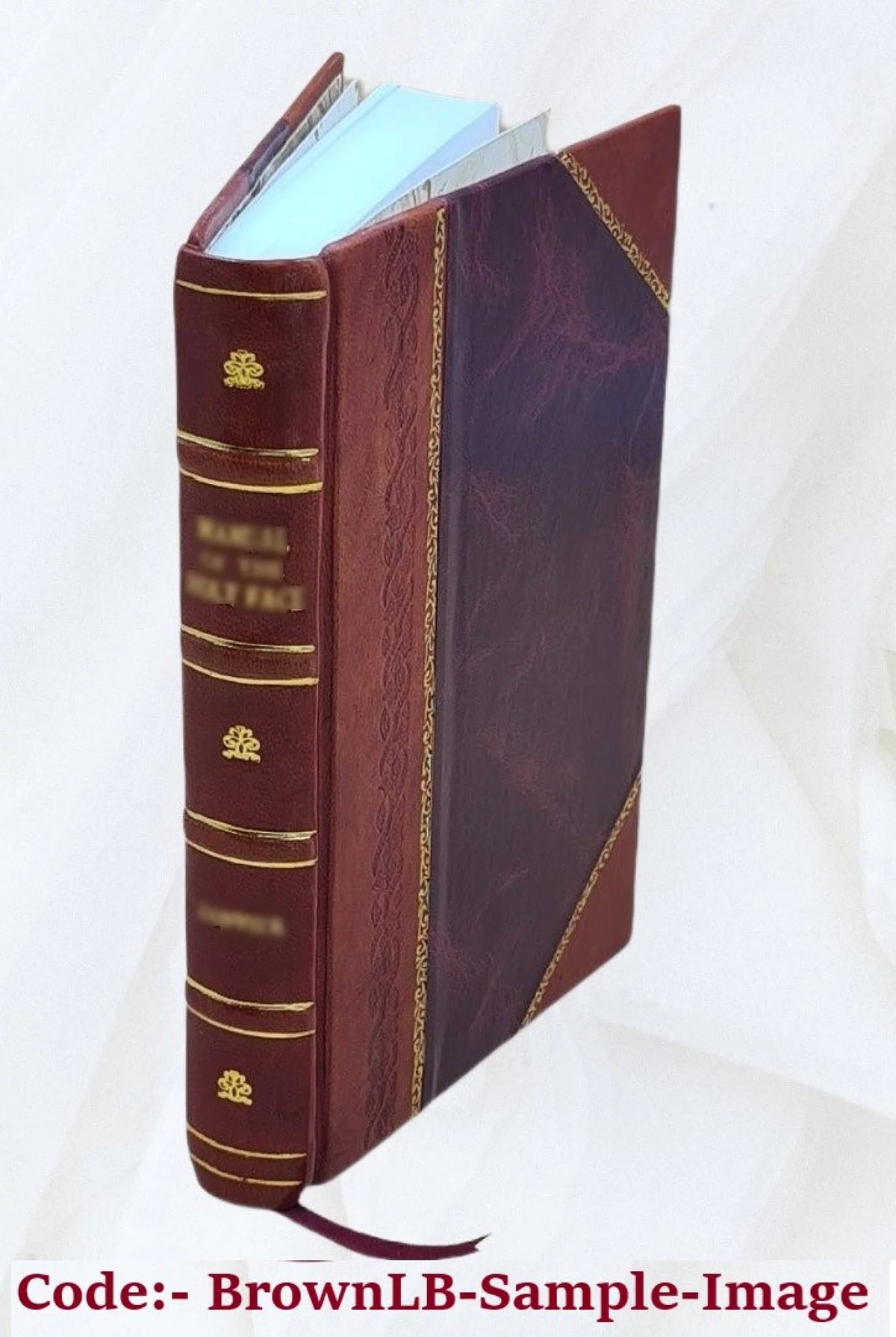Histoire d'Angleterre Volume 5 Z398944