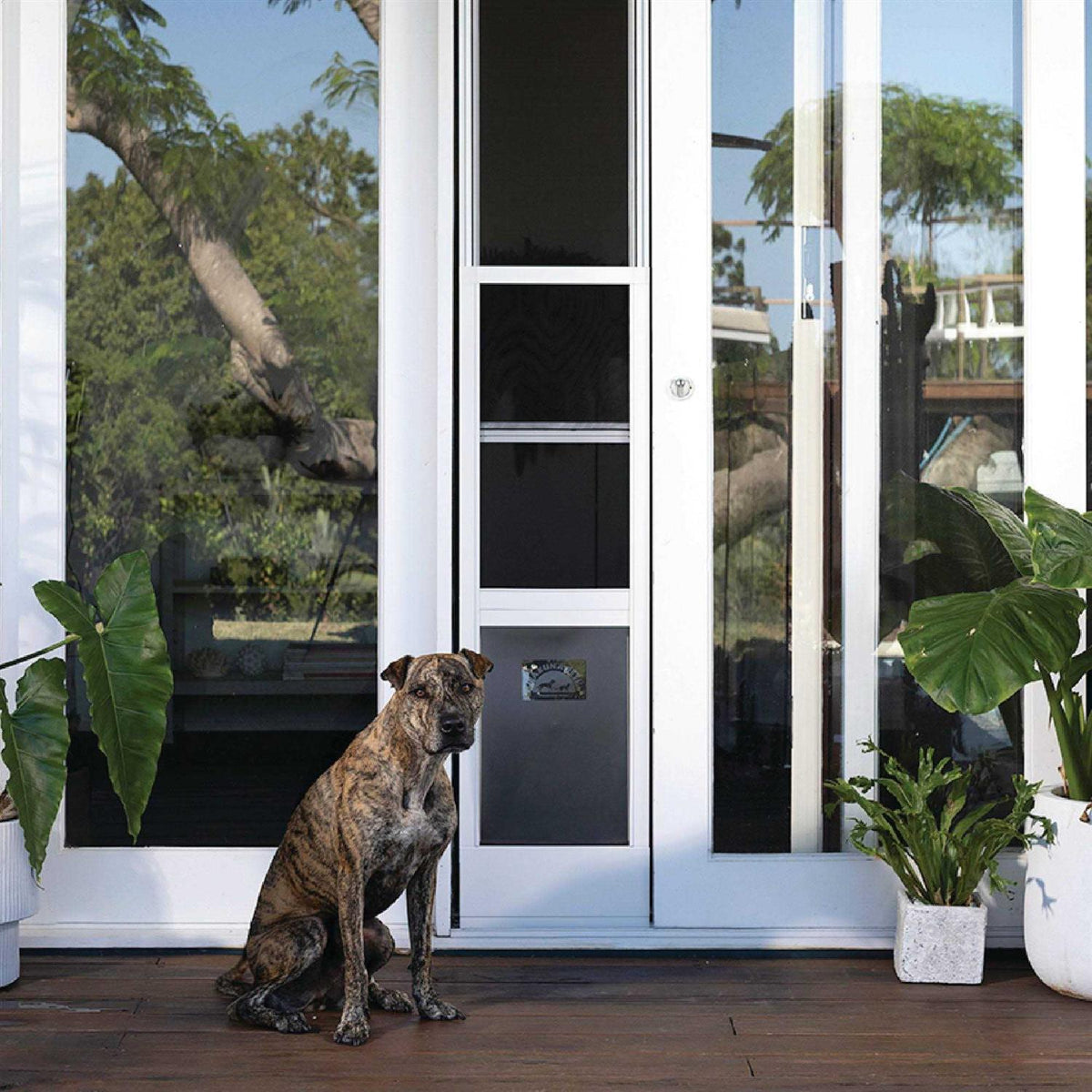 Patio Pet Door Screen Insert Panel for Sliding Doors G591560