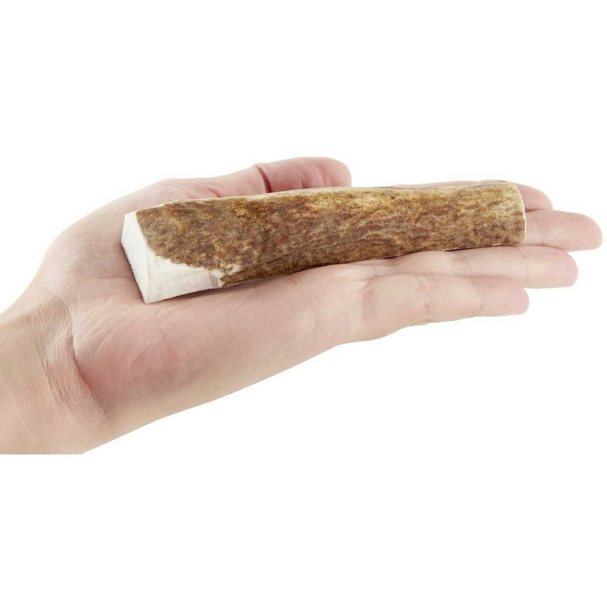 Wild Antler Split Pet Supplies V64782