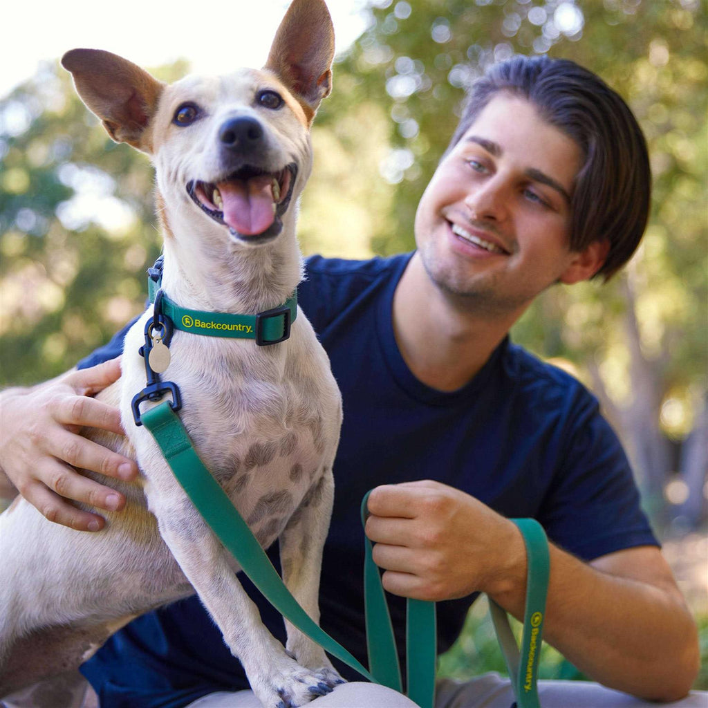 Dog Collar O75034