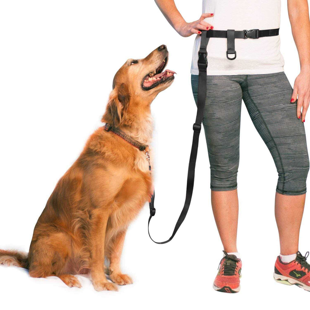 Adjustable Hands Free Dog Leash F8204