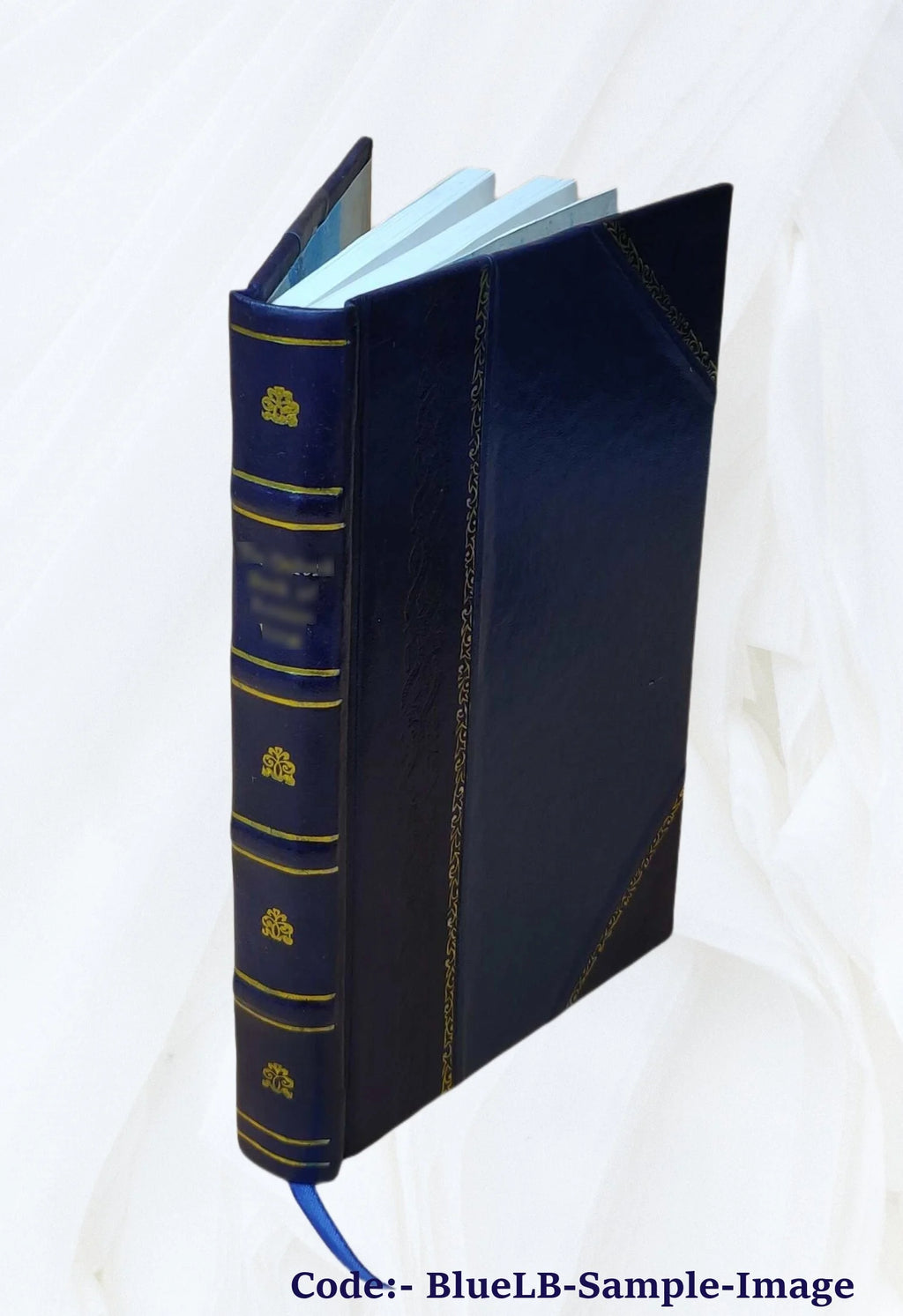 Leather Bound Book T60879