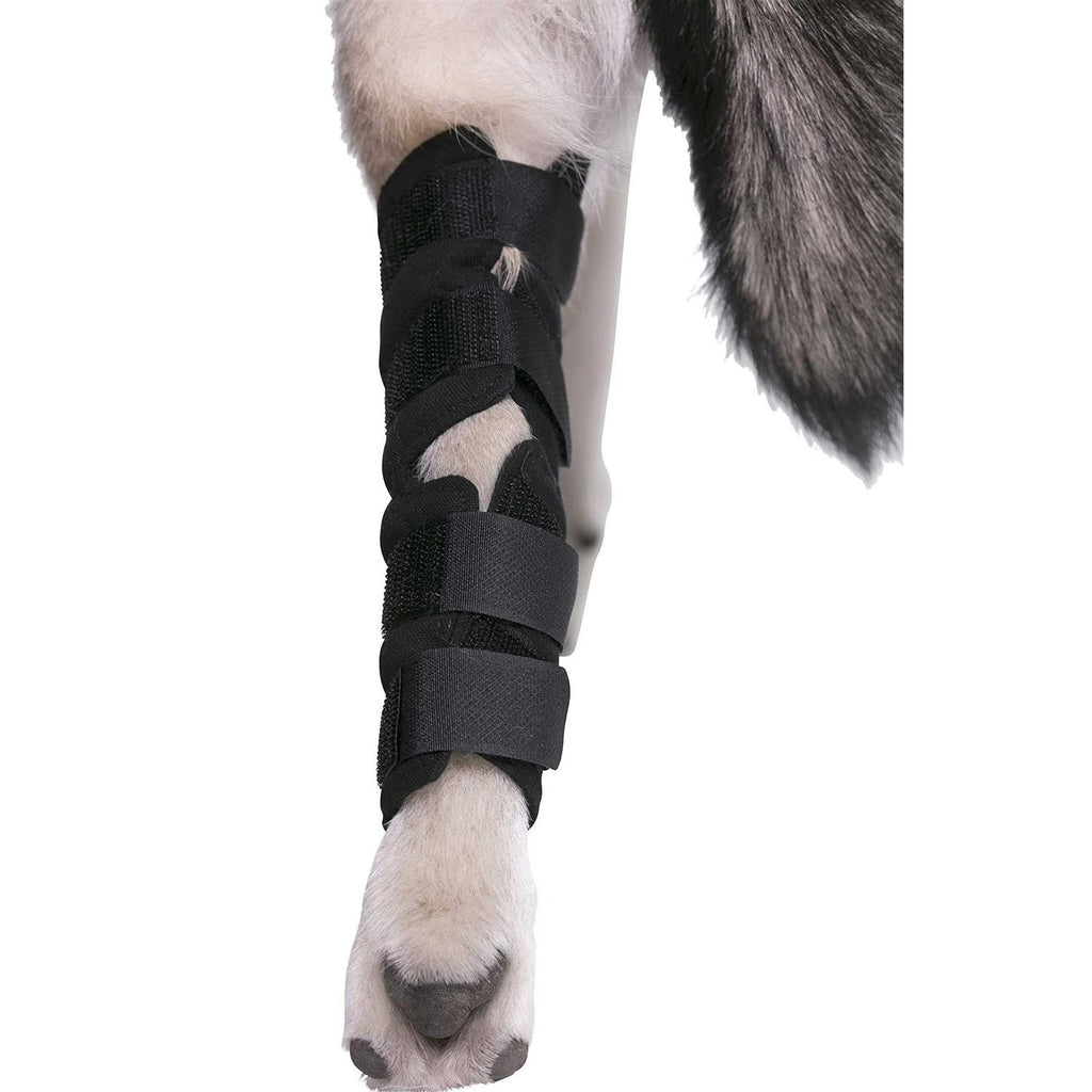 Dog Hock Brace Rear Leg Joint Wrap M91871