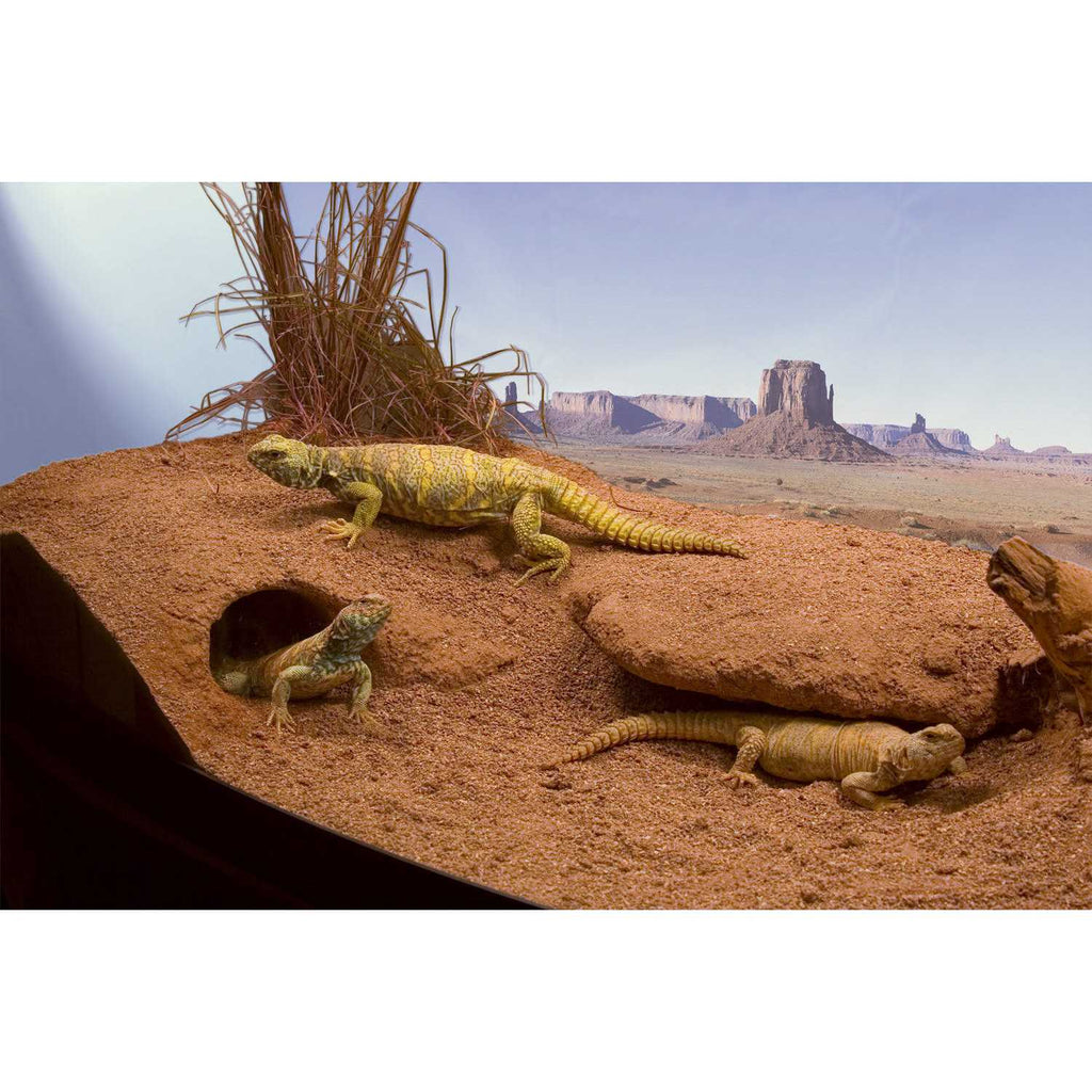 Clay Burrowing Substrate M422