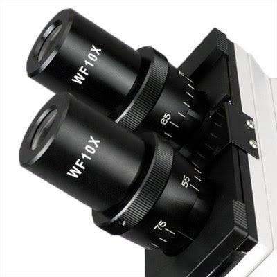 2000X Binocular Microscope with 2.0mp USB Camera P795