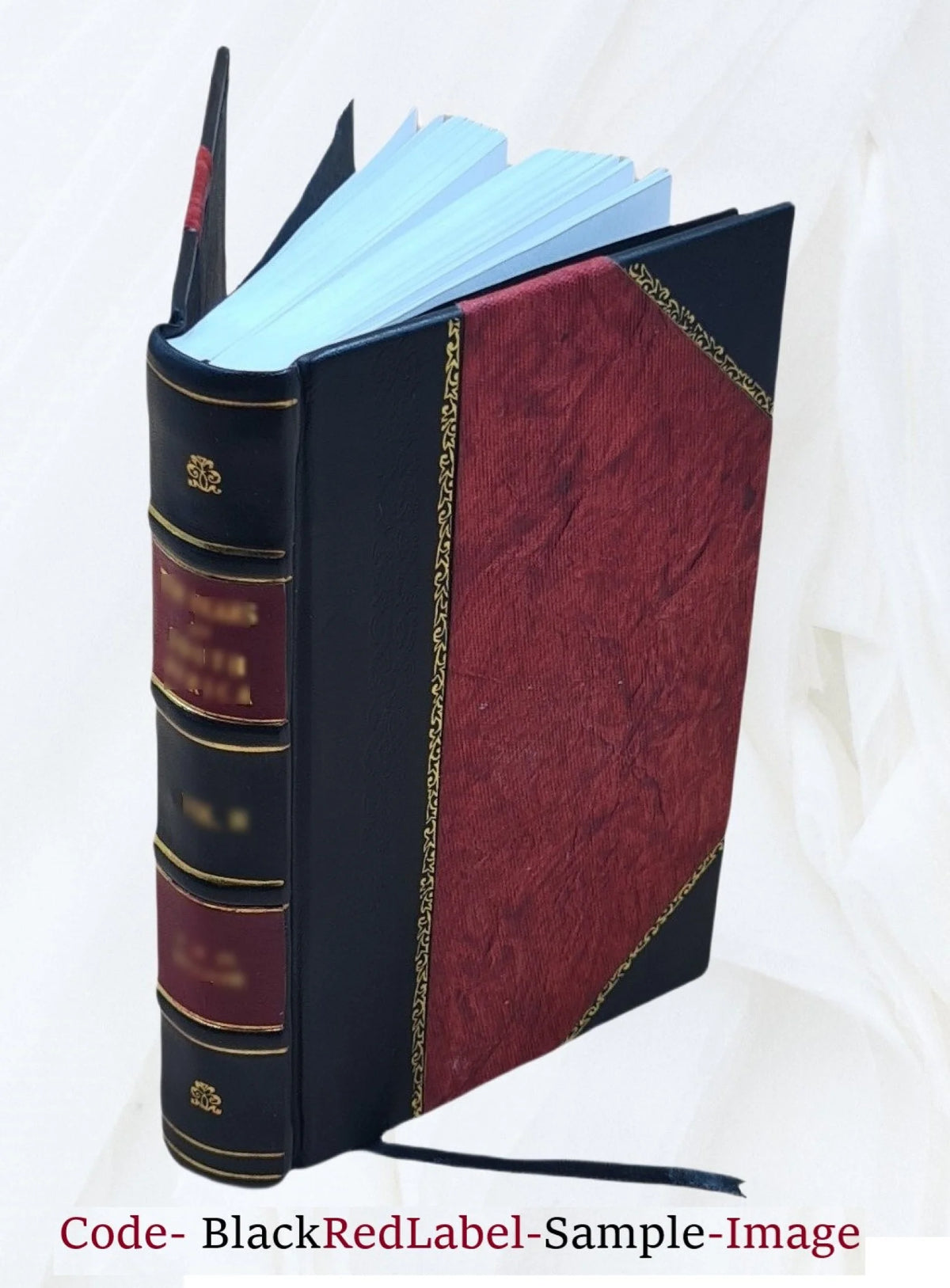 Leather Bound Book T60879
