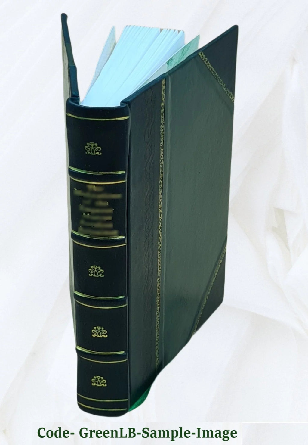 Histoire d'Angleterre Volume 5 Z398944